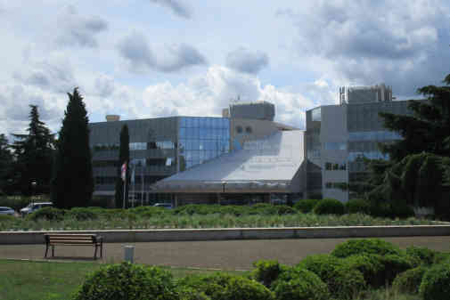 Maestral